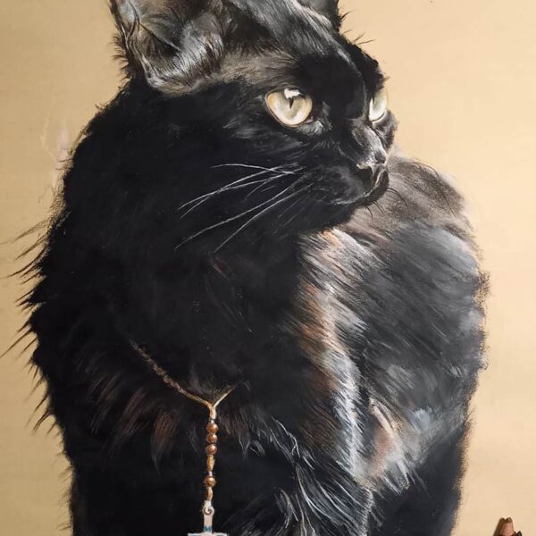 "La pellegrina"